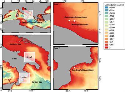 Food Preferences of Mediterranean Cold-Water Corals in Captivity